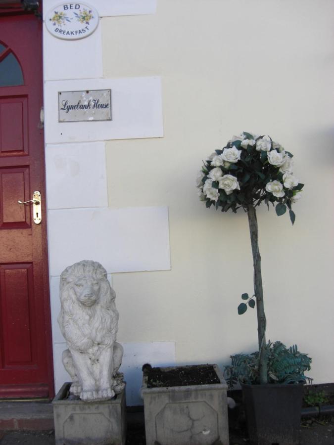 Lynebank House Hotel, Bed & Breakfast